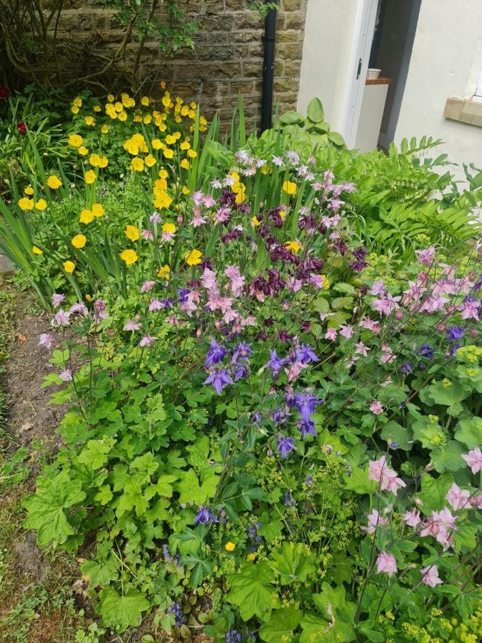 Mayfield Cottage Burtree Ford Exterior foto